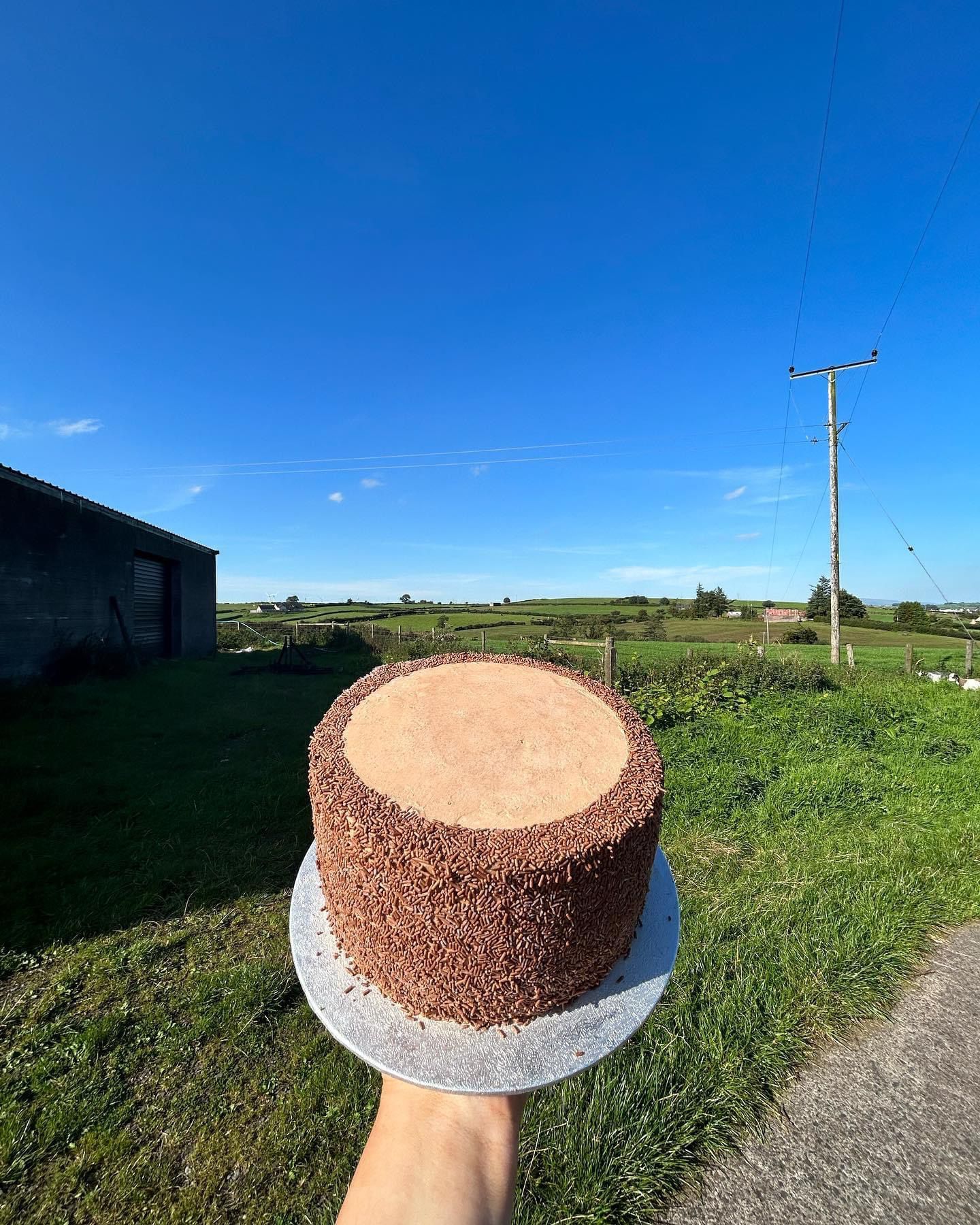 Betty's Ice-Cream Cake (Gluten Free)